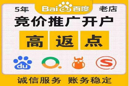竞价推广中的着陆页策略：成功案例解读